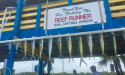 8 fish caught while fishing in Islamorada