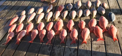Fishing in Florida