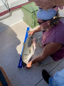 Trout Fishing on Lake Superior's shores!