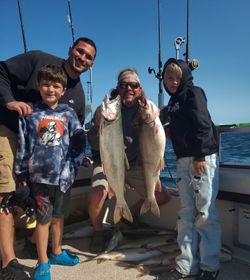 Three rainbow trout caught in Knife River