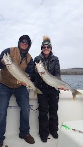 Two big bluefish caught while fishing in Knife River