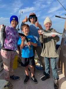 Coho salmon caught while fishing in MN
