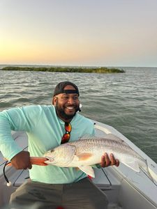 Redfish caught while fishing in TX