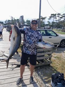 Two Atlantic Bonito fish caught at Wanchese Marina Llc