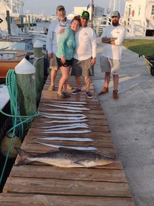 A large cobia fish caught at Wanchese Marina Llc