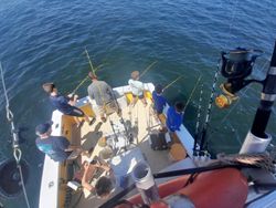 Fishing at the Wanchese Marina Llc