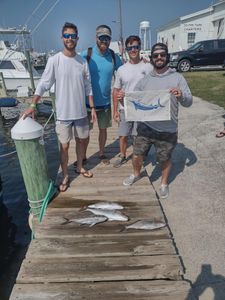 Three fishing fish in NC