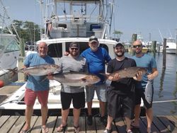 Three Longfin Yellowtail and Bluefish caught while fishing in NC