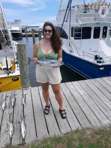 Little Tunny fish caught while fishing in NC
