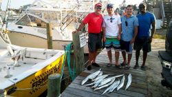 Best great fishing at Wanchese Marina Llc