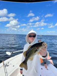 Bass fishing in FL