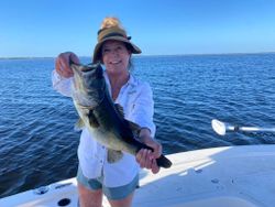 Largemouth bass in FL