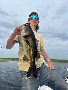 Largemouth Bass FIshing Lake Toho