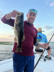 Largemouth Bass Caught on Lake Toho