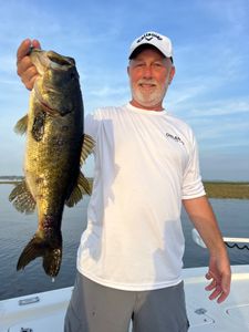 Bass Fishing on Lake Toho