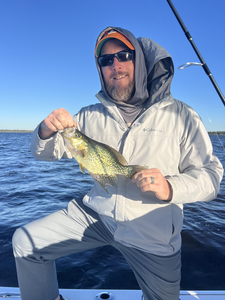Nice crappie using light tackle at Wild Willys!