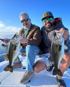 Two large mouth bass fish caught in Florida