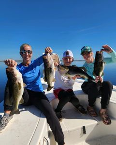4 largemouth bass caught while fishing in St. Cloud