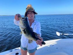Largemouth bass caught in Florida