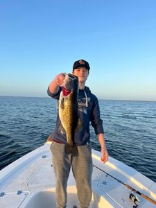 A largemouth bass fish caught in FL