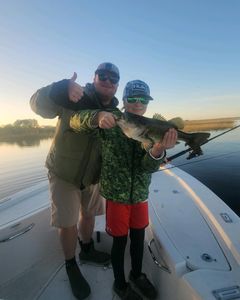 Largemouth Bass caught while fishing in Florida