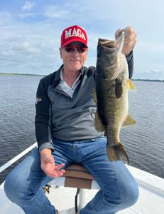 Largemouth bass caught fishing in FL