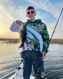 Largemouth Bass caught while fishing in St. Cloud