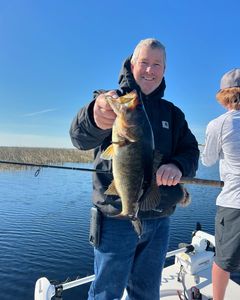 Largemouth bass caught in St. Cloud