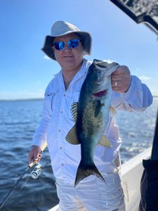 Largemouth Bass caught while fishing in St. Cloud