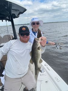 Largemouth bass caught while fishing in St. Cloud