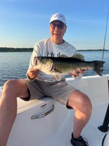 Largemouth Bass caught in FL