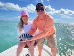 Sheepshead fish caught while fishing in FL