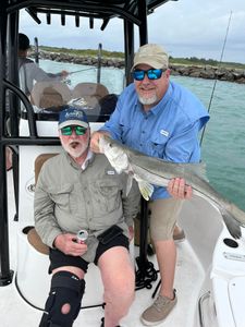 A single snook fish caught in St. Cloud