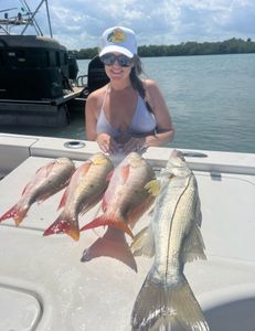 Snook fish caught while fishing in FL