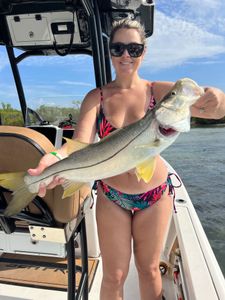Snook fish caught while fishing in FL