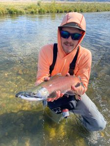 Single angler with a 13-inch fish caught in Colorado
