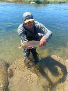Rainbow trout caught by angler in Colorado