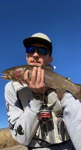 A rainbow trout caught fishing in CO