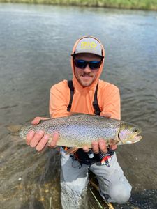 One rainbow trout caught in Lake George