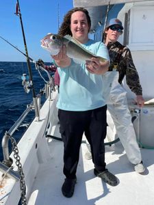 Alabama's Finest Fishing