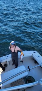 Angler fishing in Gulf Shores