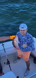 One blue tilapia fish caught by a person in Gulf Shores