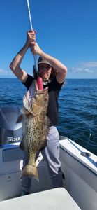 Gag Grouper caught while fishing in Gulf Shores