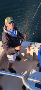 Angler holding freshly caught fish on fishing boat in Gulf Shores AL waters