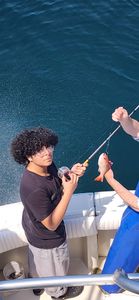 Fresh caught fish being held on fishing boat in Gulf Shores AL