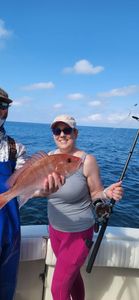 Red snapper caught while fishing in Gulf Shores AL