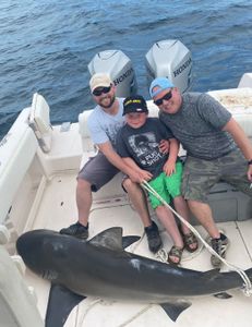 Giant Bull Shark catch with the crew!