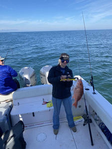 Angler holding a 17-inch fish on Dauphin Island