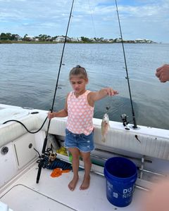 A fisherman holding an Atlantic Croaker fish in AL