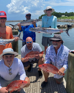 6 king mackerel caught fishing at Dauphin Island